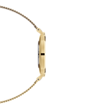 Daniel Wellington Petite Evergold Black Dial Gold Mesh Strap Watch For Women - DW00100345