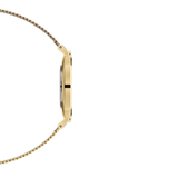 Daniel Wellington Classic Petite Evergold White Dial Gold Mesh Bracelet Watch For Women - DW00100350