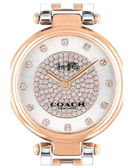 Coach Park Silver Dial Two Tone Steel Strap Watch for Women - 14503642