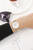Daniel Wellington Classic Petite White Dial Gold Mesh Bracelet Watch For Women - DW00100348