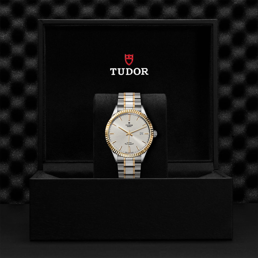 Tudor Style Automatic Silver Dial Two Tone Steel Strap Watch for Men - M12713-0003