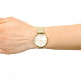 Emporio Armani Retro Gold Dial Gold Mesh Bracelet Watch For Women - AR1957