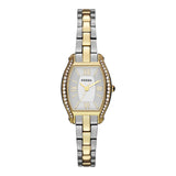 Fossil Molly Silver Dial Two Tone Steel Strap Watch for Women - ES3287