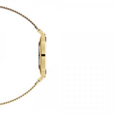 Daniel Wellington Classic Petite White Dial Gold Mesh Bracelet Watch For Women - DW00100348