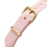 Daniel Wellington Petite Mother of Pearl Pink Dial Pink Nylon Strap Watch For Women - DW00100512