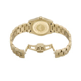 Emporio Armani Federica Brown Dial Gold Steel Strap Watch for Women - AR11700
